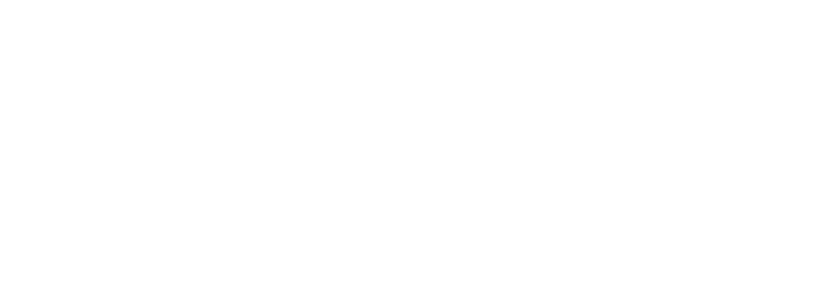 Spar Nord Logo White